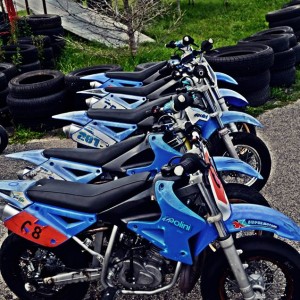 Minimotard1